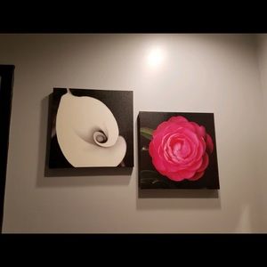 ⭐️flower picture set-rose picture and lily picture